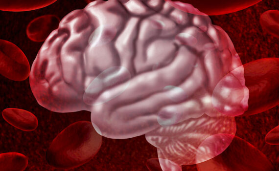 Ihmisen tärkein elin.